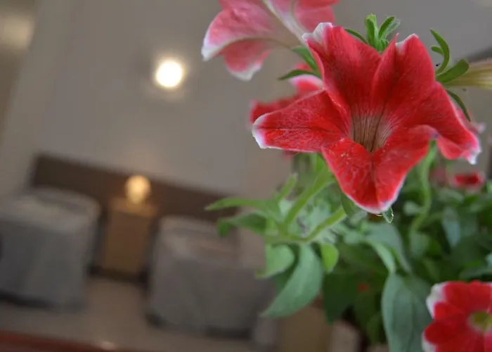 I Due Tesori * 圣切萨廖迪莱切