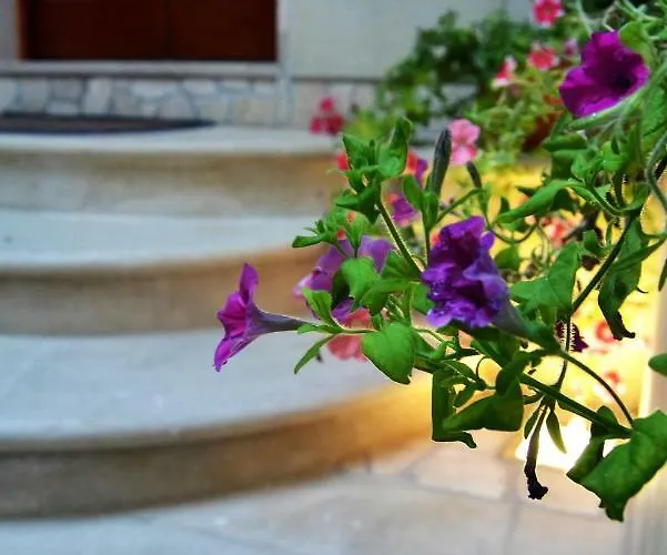 I Due Tesori * San Cesario di Lecce